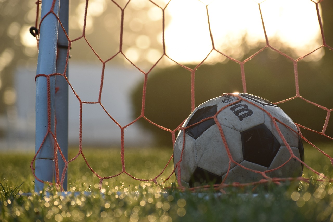 A portable soccer goal set up on grass